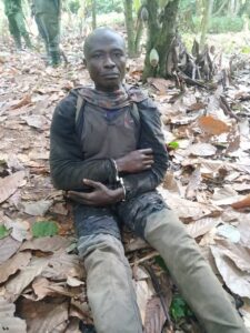 Wildlife Guard Shot Dead by Suspected Poacher During Kakum Forest Patrol